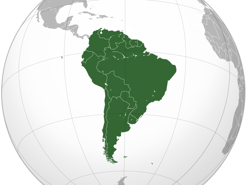 La unión suramericana y el efecto péndulo