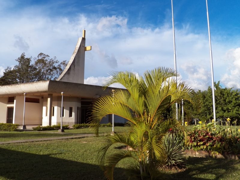 seminario san cristobal abuso sexual