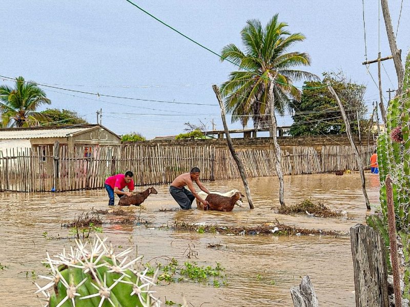Plan de adaptación al cambio climático