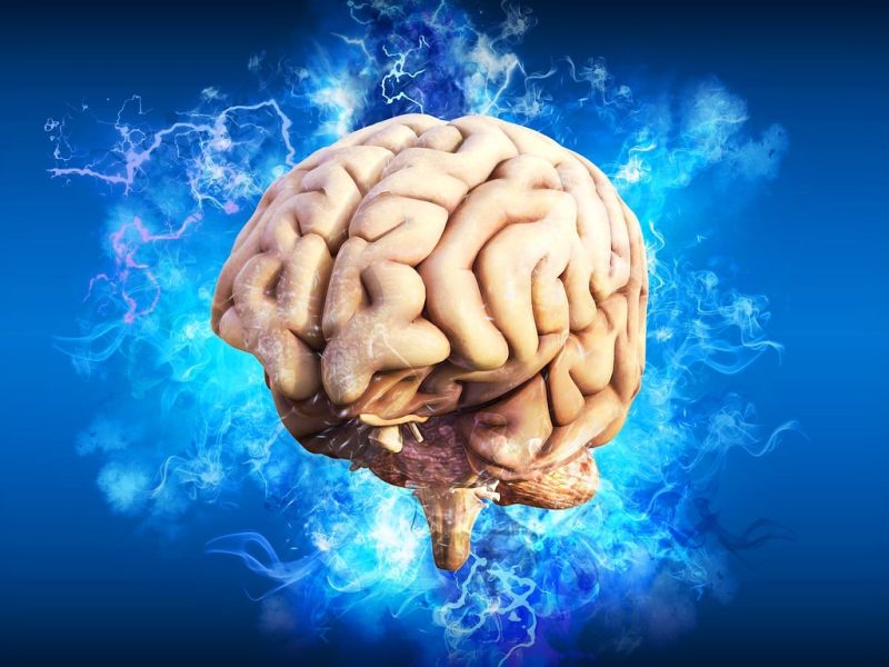 Más que neuronas: la jerarquía del pensamiento