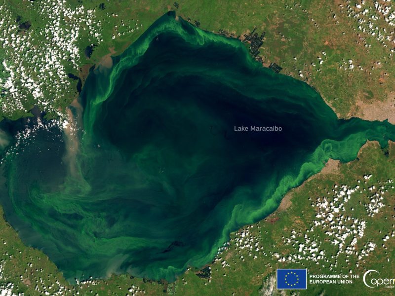 Gobierno anuncia plan para descontaminar el Lago de Maracaibo
