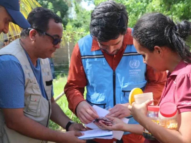ocha venezuela