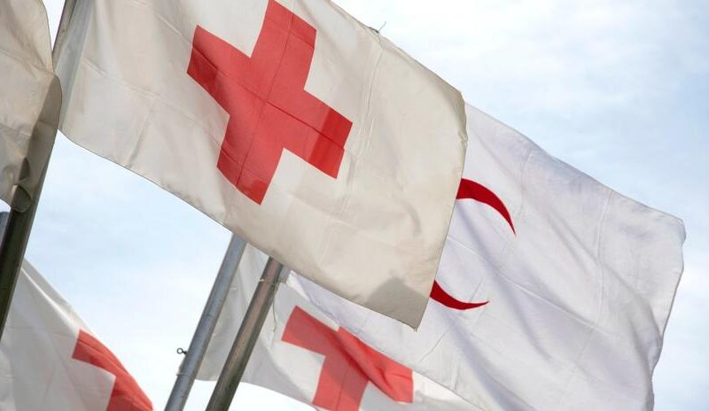 Federación de la Cruz Roja: Cualquier intervención gubernamental plantea serias preocupaciones