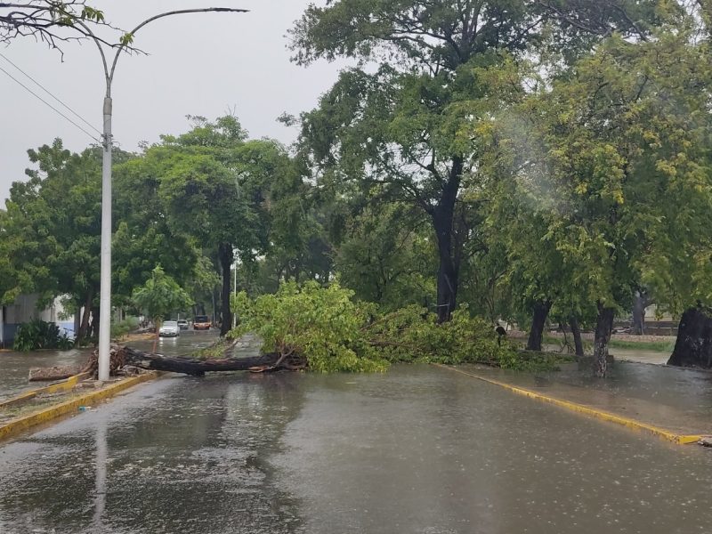 lluvias en sucre
