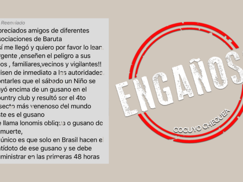 ¿Oruga lonomia oblicua está apareciendo en Caracas y ha provocado casos de emponzoñamiento?
