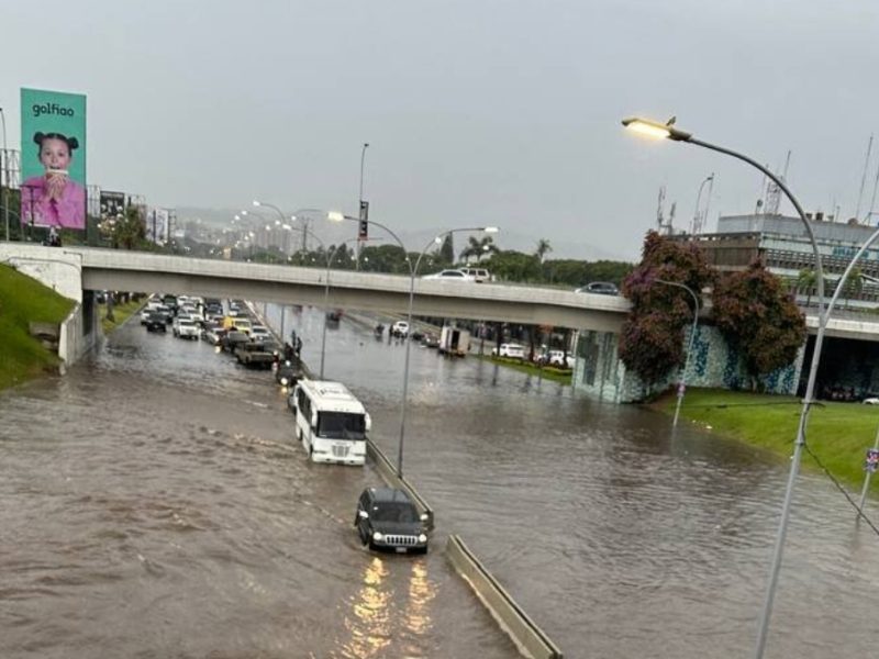 distribuidor altamira