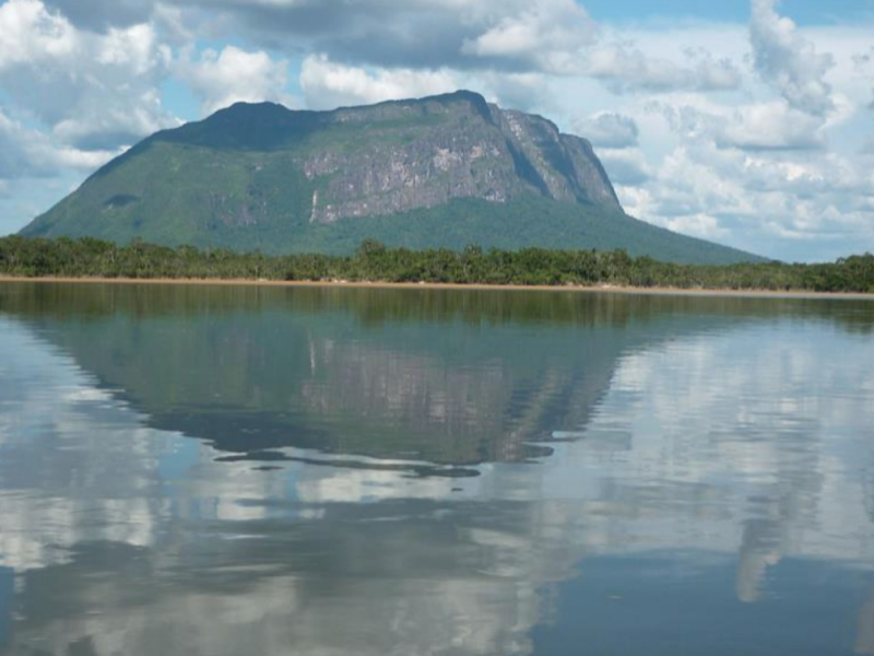 Qué se sabe de la minería ilegal en Amazonas.