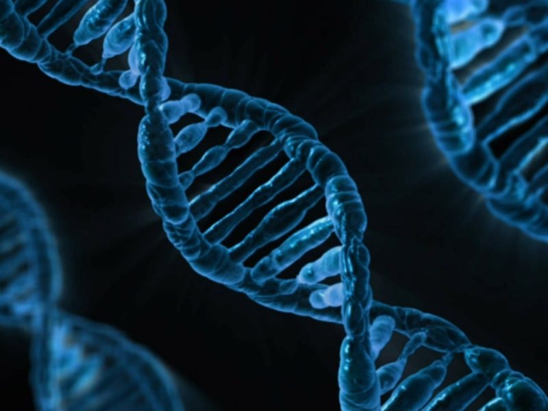 Los genes, emisarios de la historia