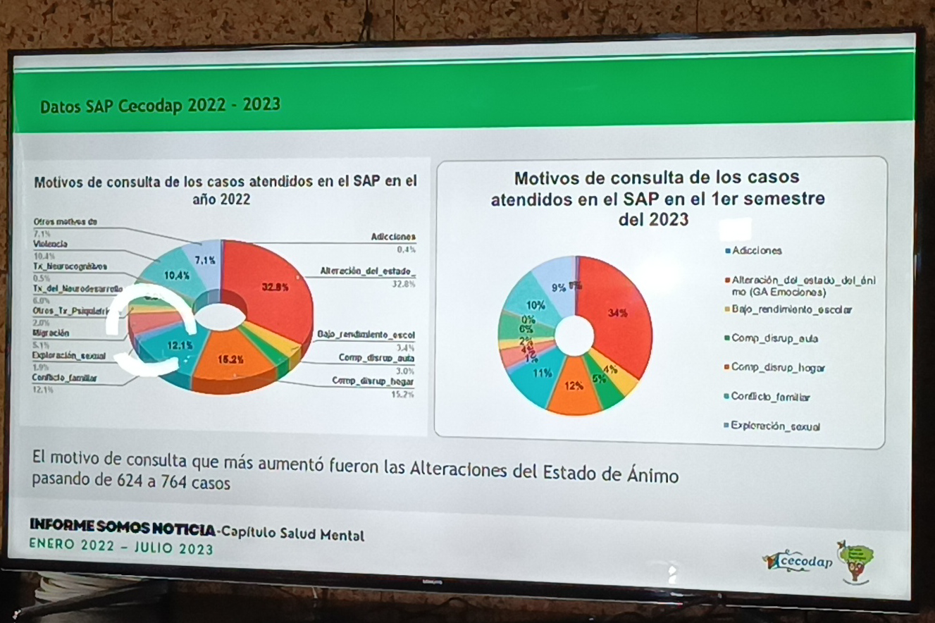 Motivos de consulta en Cecodap 
