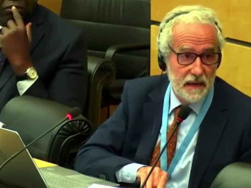 Comité de DDHH de la ONU