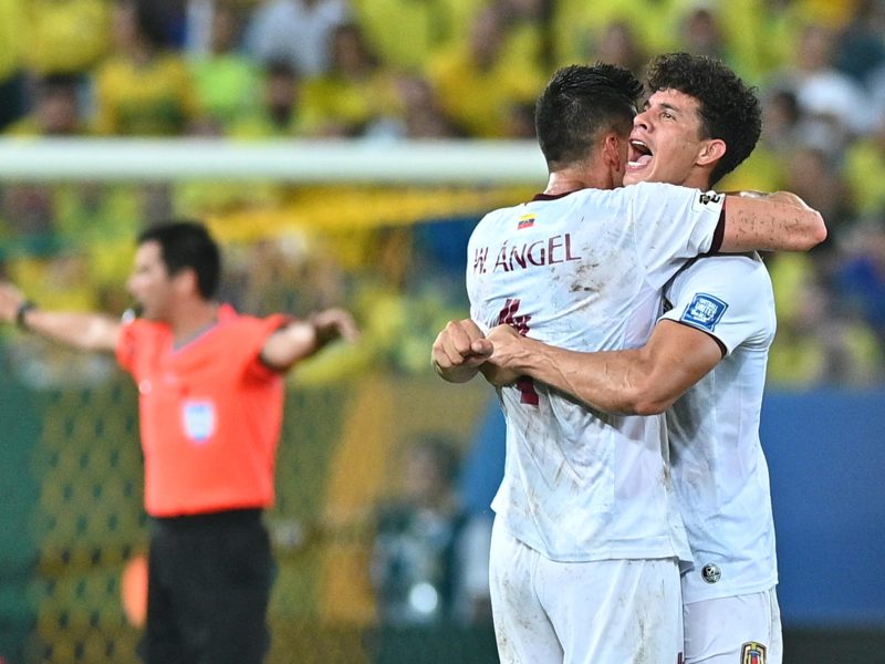 La vinotinto