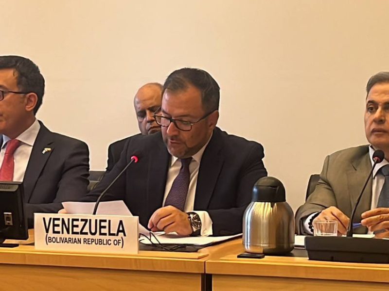 La delegación venezolana ha descalificado a los expertos