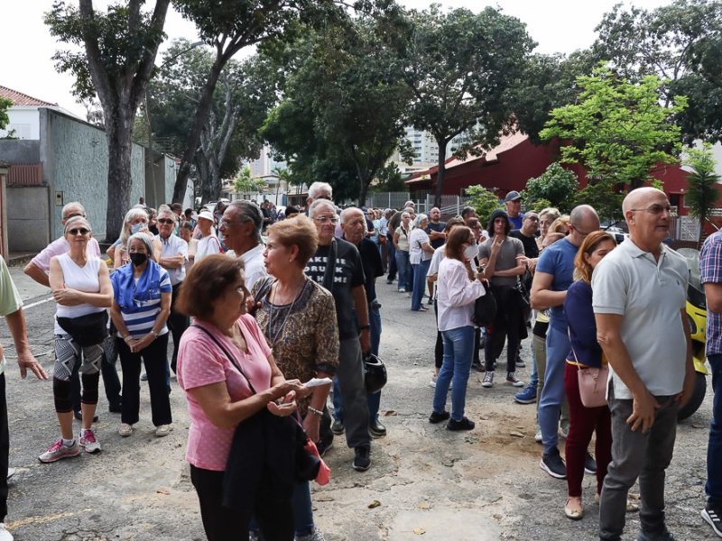 Expertos aseguran que cifras de participación en primarias opositoras son sostenibles
