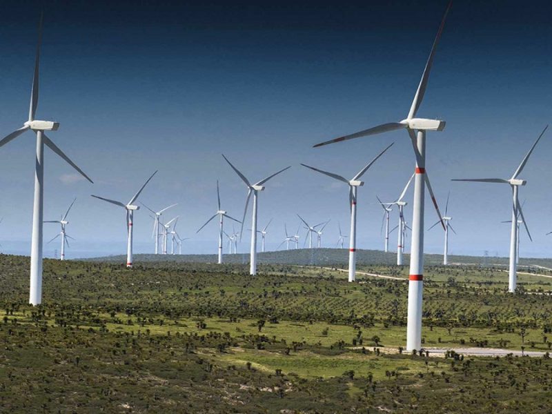 Cámara Venezolana de Energías Renovables