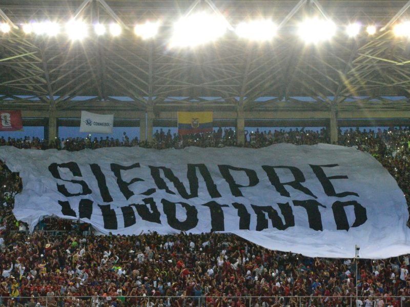 Vinotinto