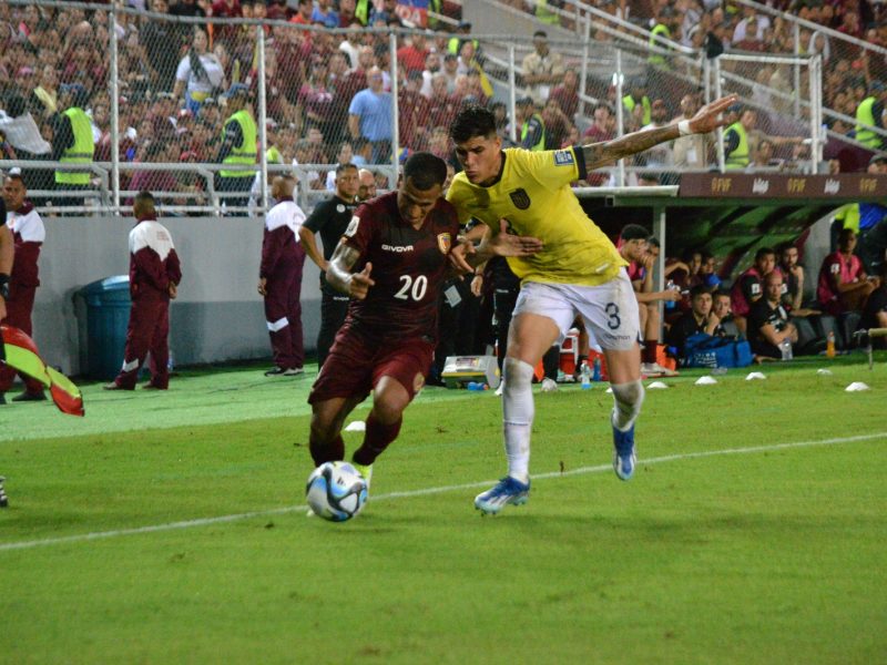 Vinotinto