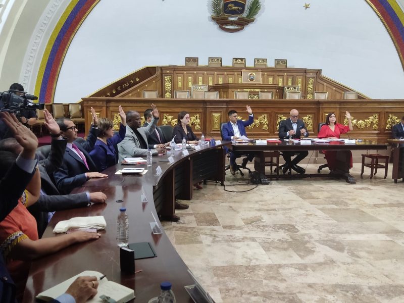 Delegada de AN de 2020 aprueba créditos para cestatickets del sector público y defensa de Guayana Esequiba