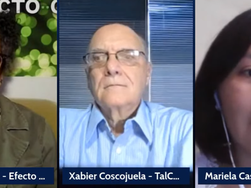 Cocuyo Claro y Raspao Mariela Casteñón