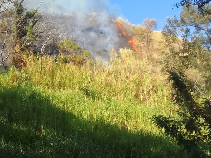 Cuerpo de bomberos de Caracas confirma "incendio forestal de mediana proporción en el Ávila"