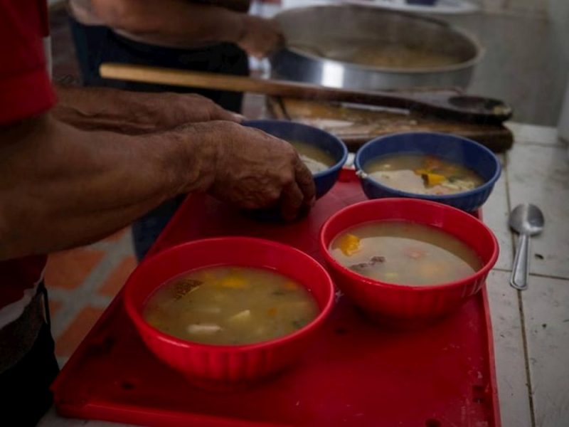 Alimentación