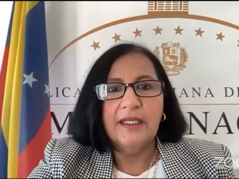 Comisión delegada de AN de 2015 responsabiliza al gobierno por vida de Rocío San Miguel