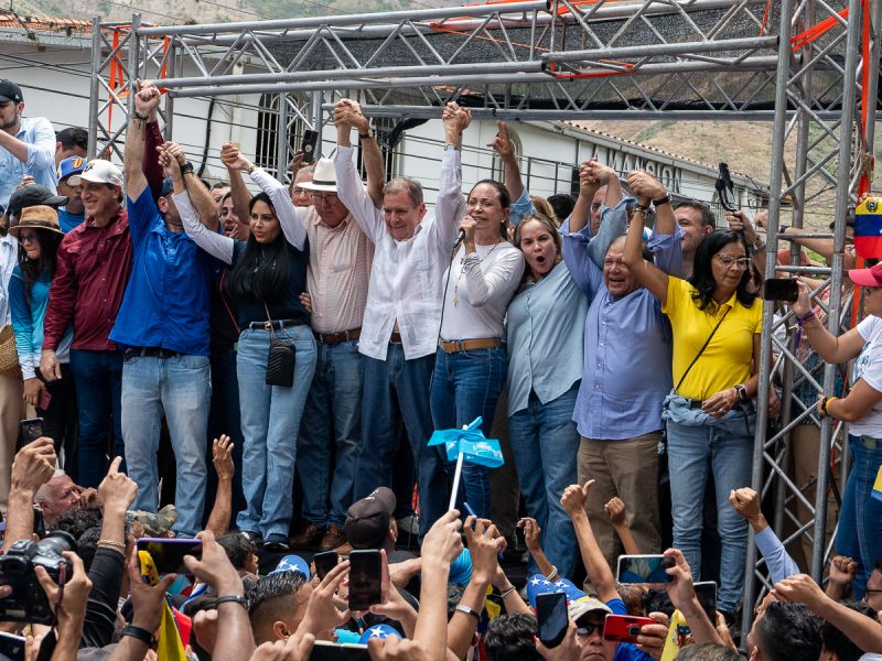 Testigos electorales elecciones presidenciales