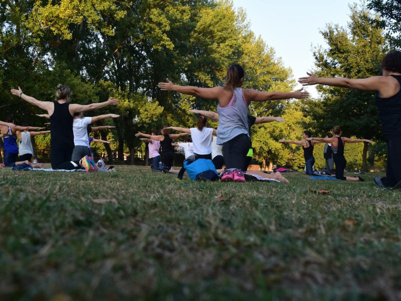women performing yoga on green grass near trees