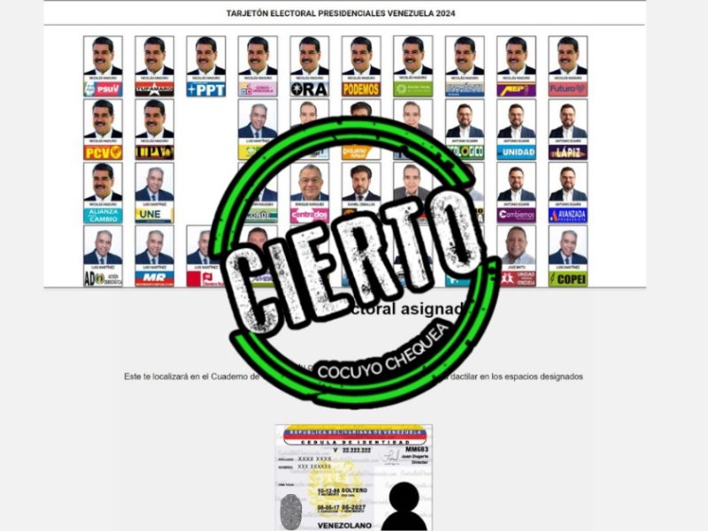 Simuladores electorales