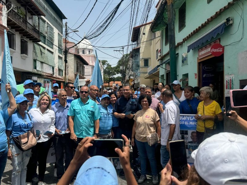 MPV electoral