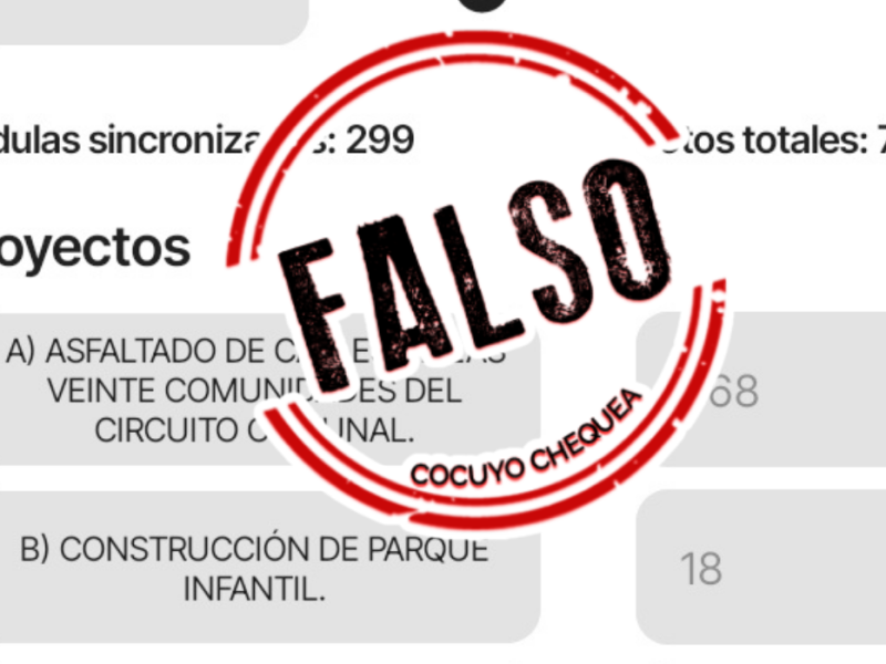El chavismo dijo que la consulta fue "éxito"