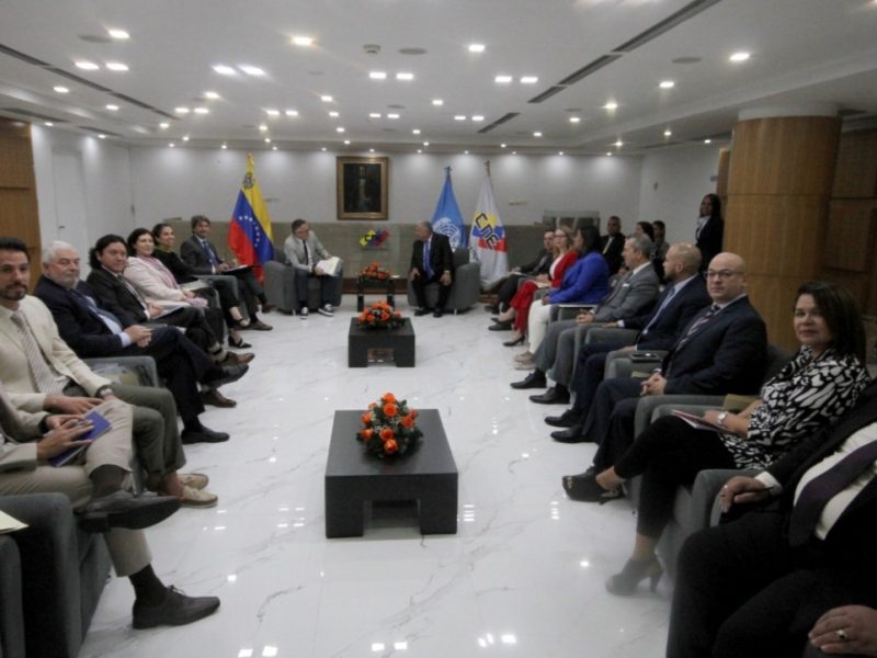 Qué dijo el Panel de Expertos de la ONU sobre las elecciones del 28 de julio