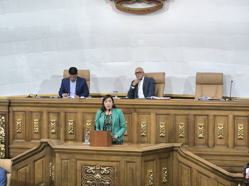AN de 2020 culmina primer período de sesiones con sólo ocho leyes sancionadas