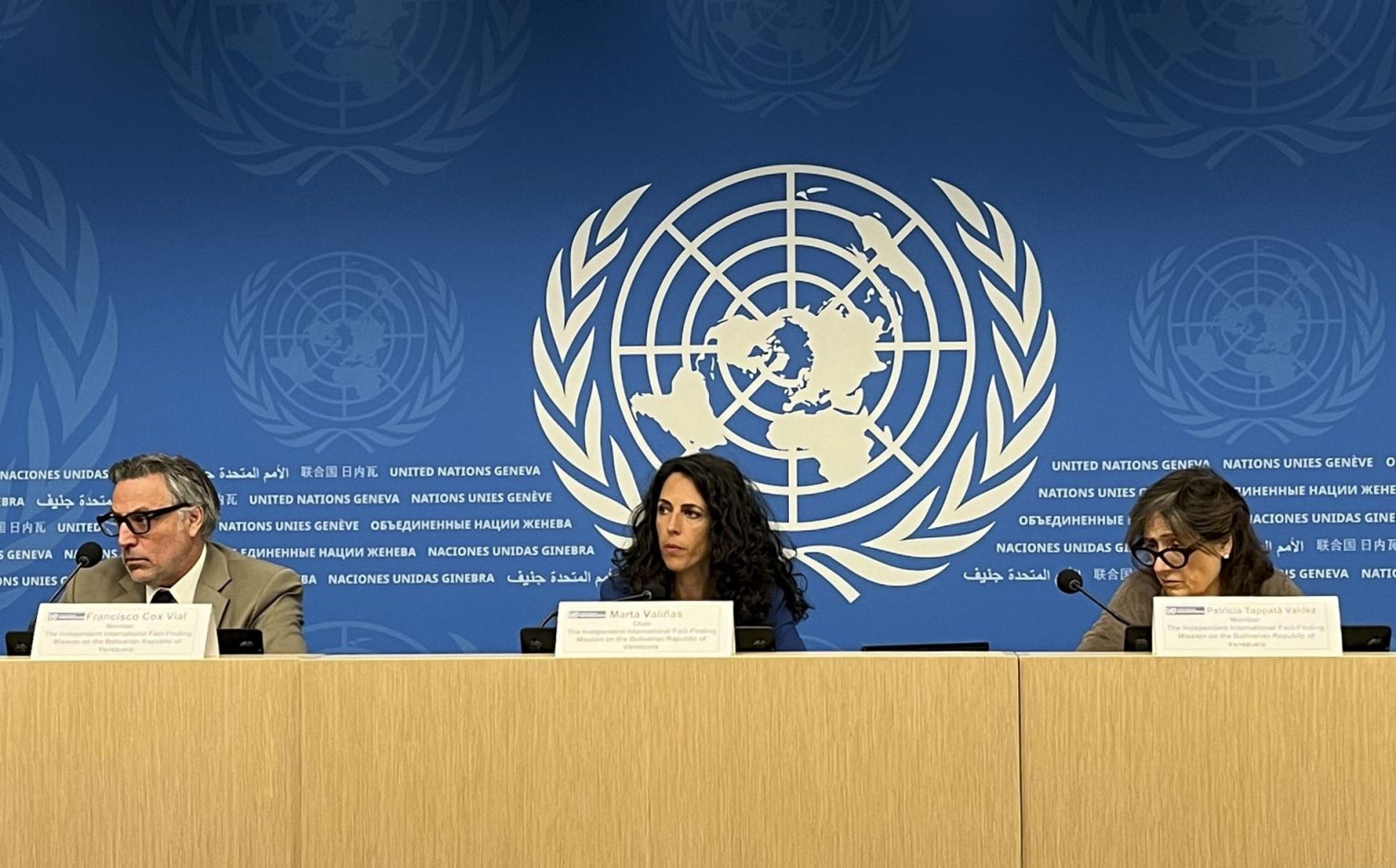 Misión de la ONU para Venezuela: Gobierno comete crimen de lesa humanidad de persecución
