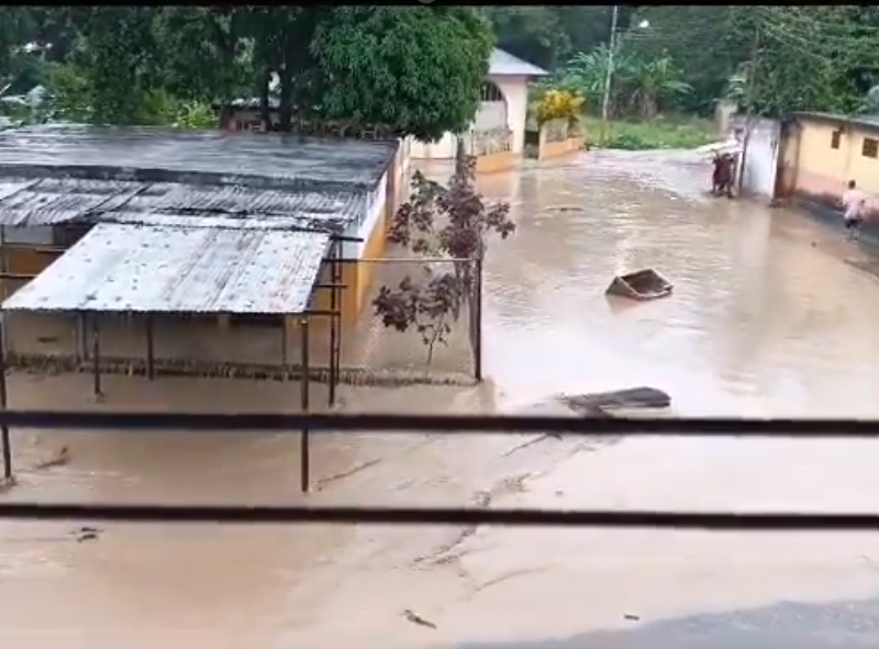 cumanacoa