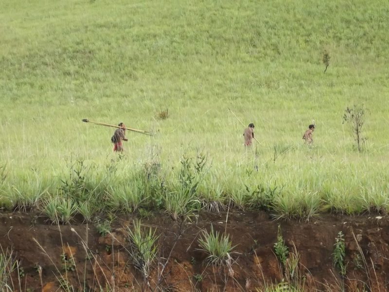 Cidh pide al gobierno proteger a yanomamis de minería ilegal