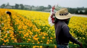 inmigrantes