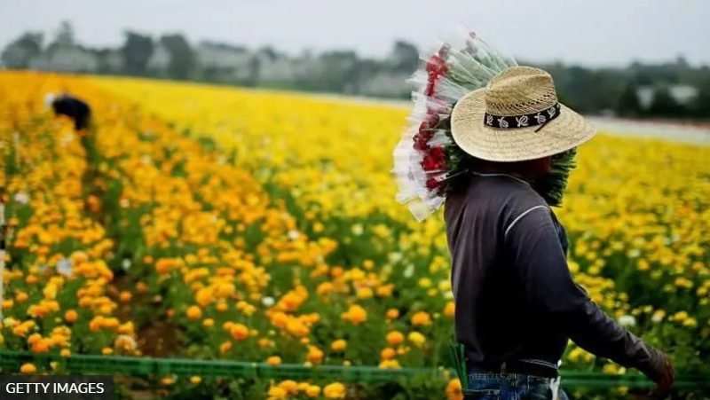 inmigrantes