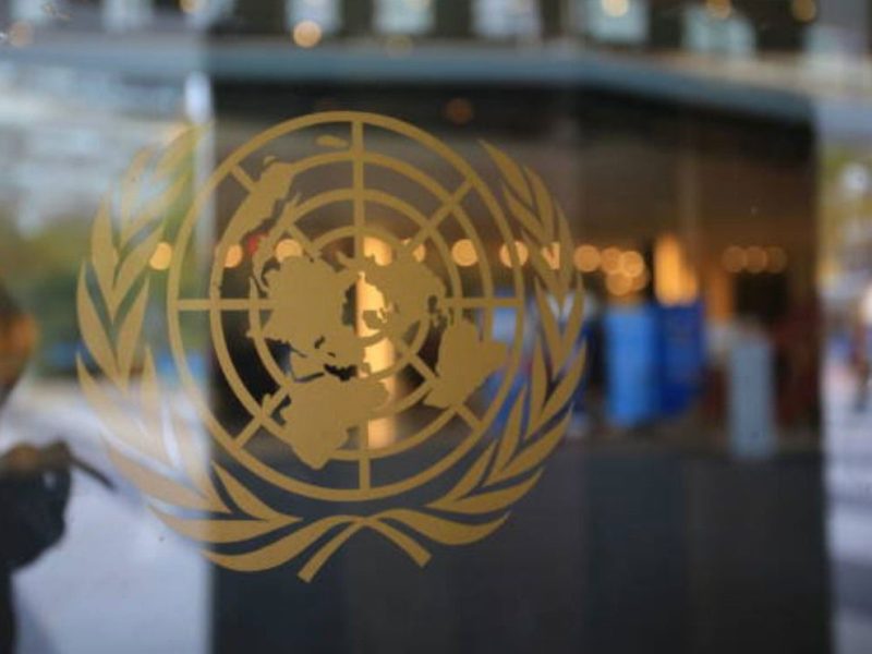 Alcance de investigación del Comité de Derechos Humanos de la ONU sobre elecciones presidenciales según expertos 