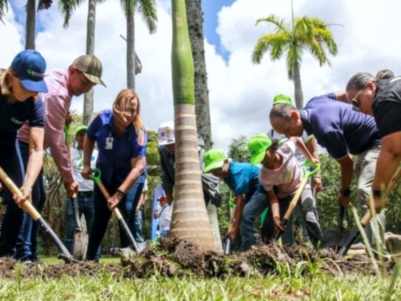 Transparencia Climática