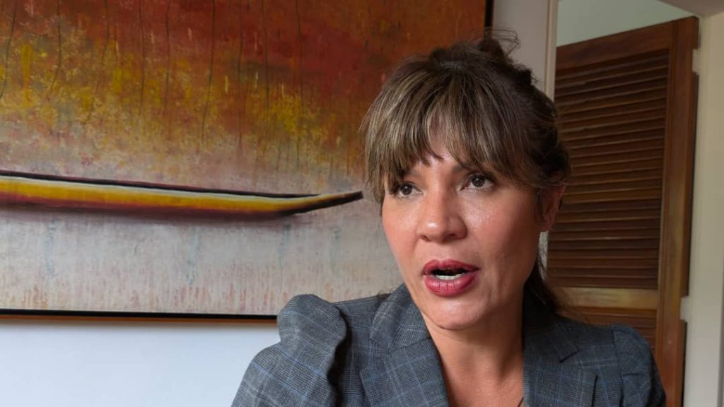 La participación ciudadana y el activismo no pueden seguir siendo criminalizados, señala abogada Martha Tineo 