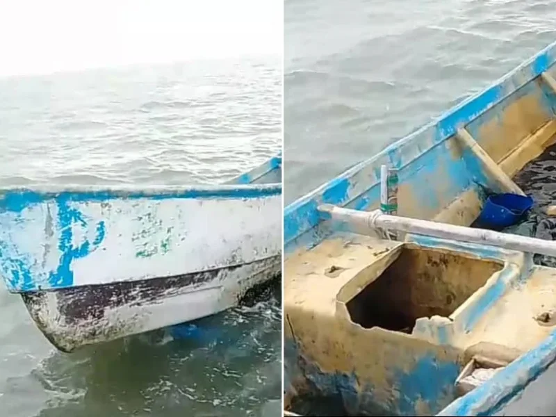 Fue hallada en el estado Delta Amacuro