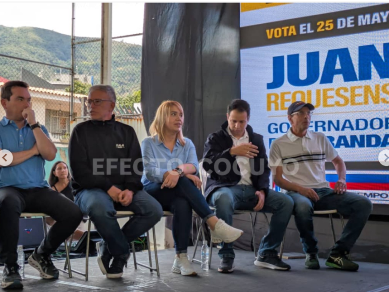 Llamados a votar para el 27 de julio no abundan: por qué calla la dirigencia nacional opositora según politólogos