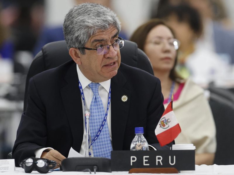 Perú, EE.UU. y Argentina piden en la OEA declarar como terrorista al Tren de Aragua