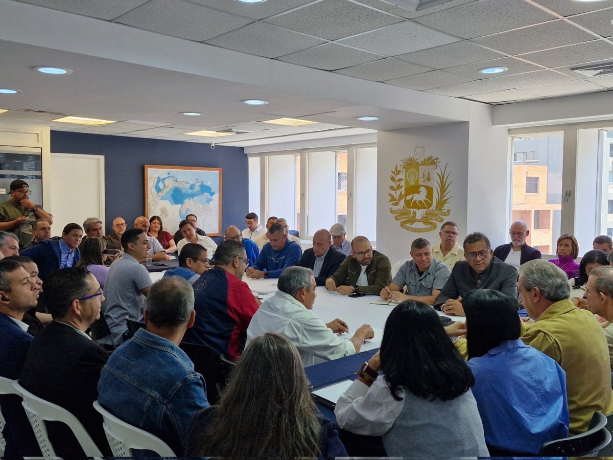 Plataforma Unitaria expone hoja de ruta para la transición a medio ...
