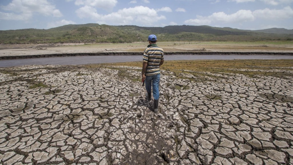 Clima21 presenta guía para orientarse sobre fenómeno El Niño y sus impactos en Venezuela