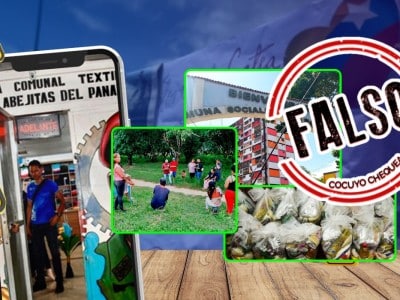 Consejos comunales eliminados falso