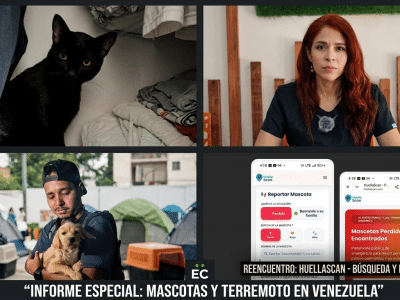 Mascotas sufren el estrés y traumas después de los terremotos