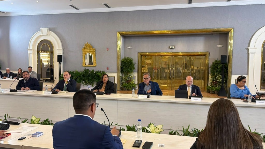La democracia imaginada se construye con votos – Efecto Cocuyo La democracia imaginada se construye con votos – Efecto Cocuyo